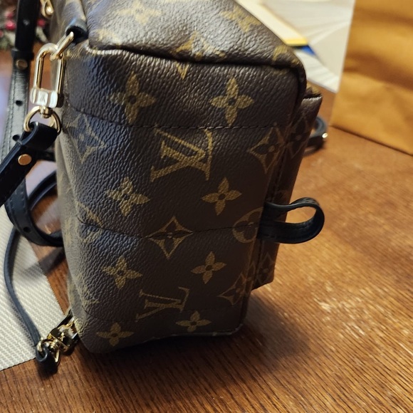 LOUIS VUITTON Palm Springs Mini Backpack - Picture 8 of 12